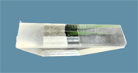 中心-removebg-preview (3)(1).png